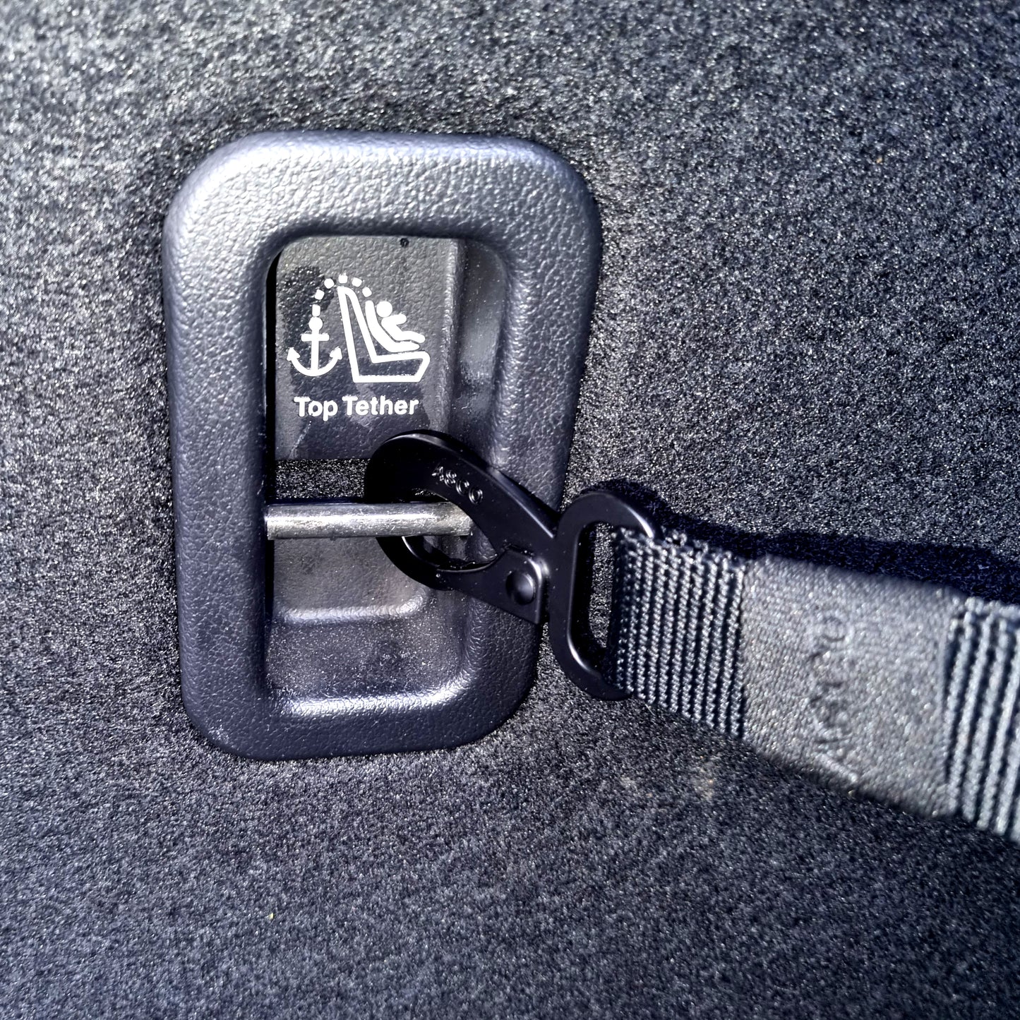 ASCO Hundegurt – 2in1 Anschnall- & Fix-System mit Ruckdämpfer (55-75 cm)