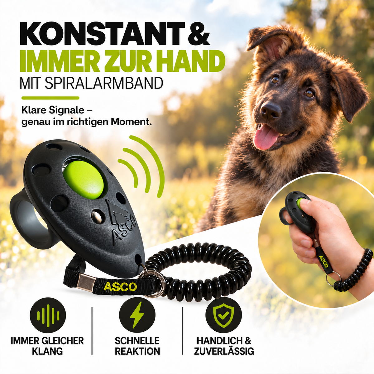 Finger Clicker mit Spiralarmband für Hunde & Katzen | ASCO