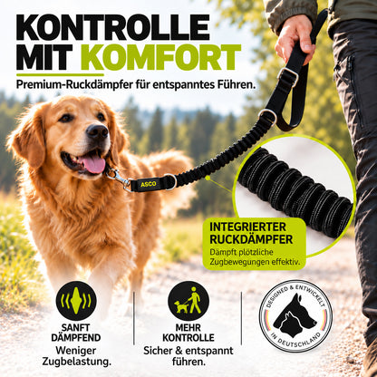 ASCO Hundeleine mit Ruckdämpfer 100-200 cm