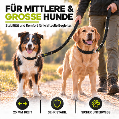ASCO Hundeleine mit Ruckdämpfer 100-200 cm