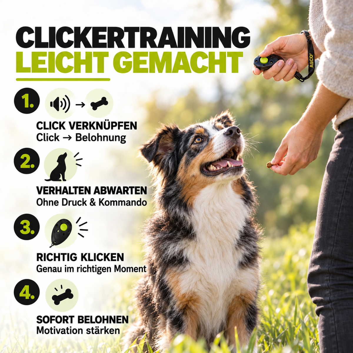Premium Clicker für Hunde & Katzen – Profi Clicker für Clickertraining | ASCO