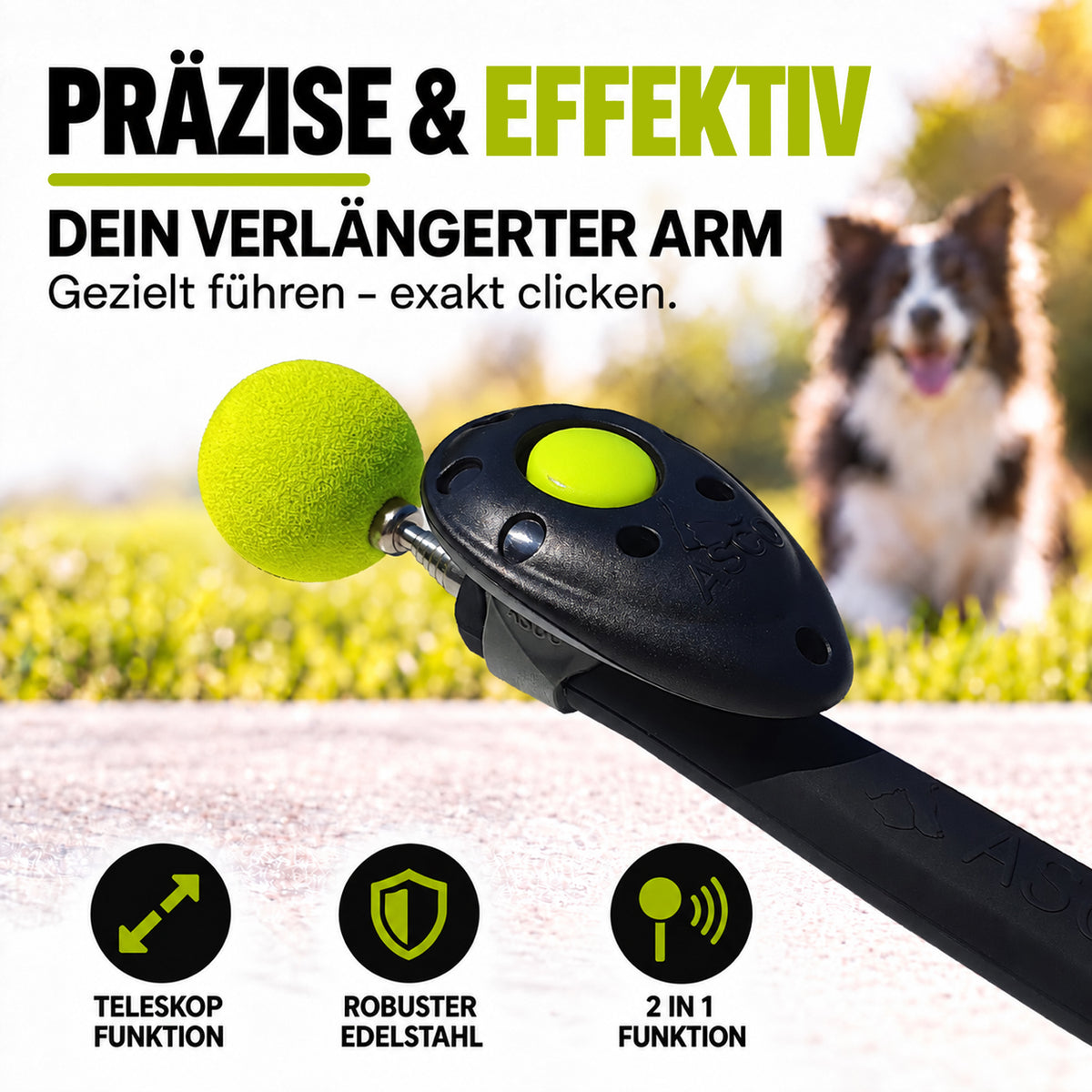 ClickStick für Hunde & Katzen – Target Stick mit abnehmbarem Clicker | ASCO