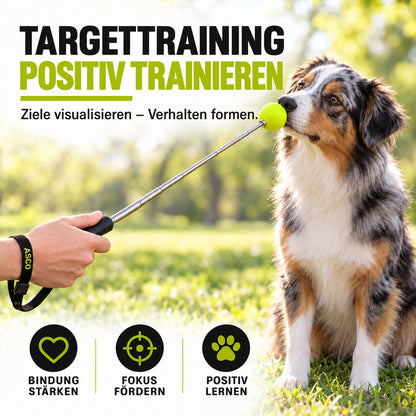 Target Stick für Hunde & Katzen mit Softball | ASCO