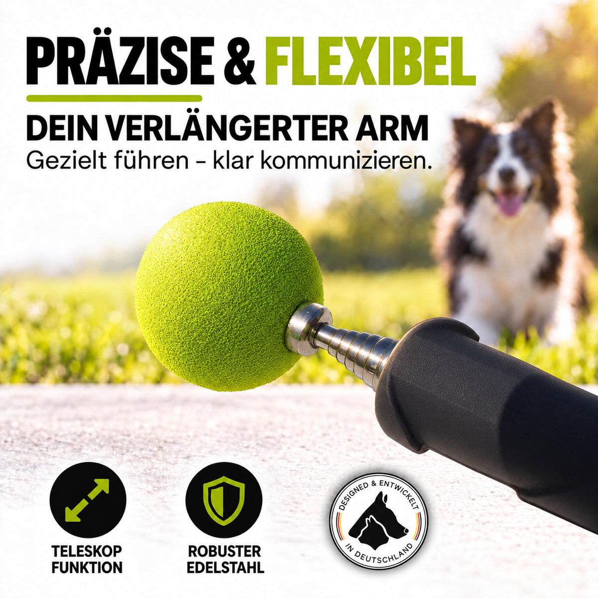 Target Stick für Hunde & Katzen mit Softball | ASCO
