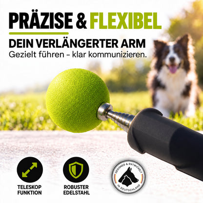 Target Stick für Hunde & Katzen mit Softball | ASCO