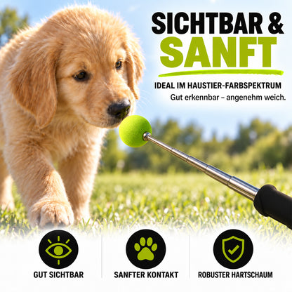 Target Stick für Hunde & Katzen mit Softball | ASCO