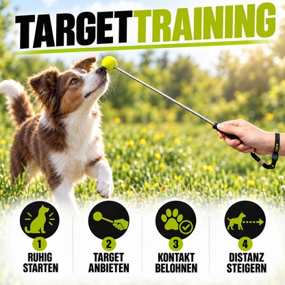 Target Stick für Hunde & Katzen mit Softball | ASCO