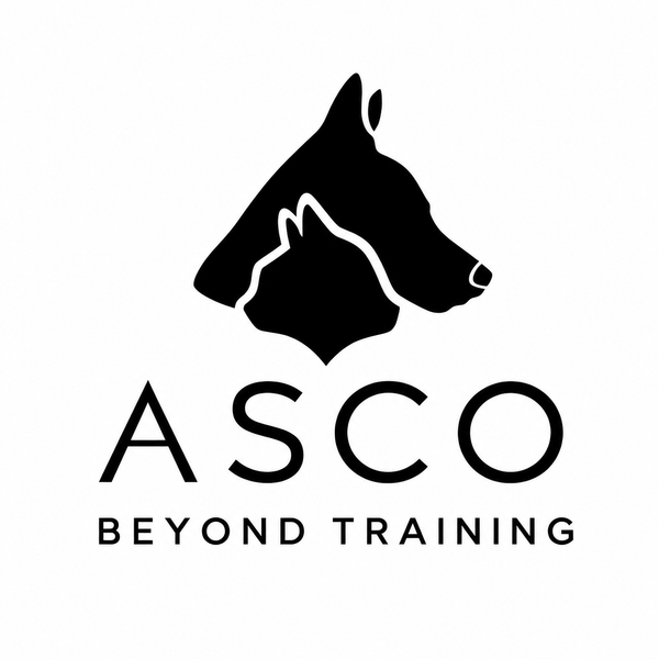 ASCO 