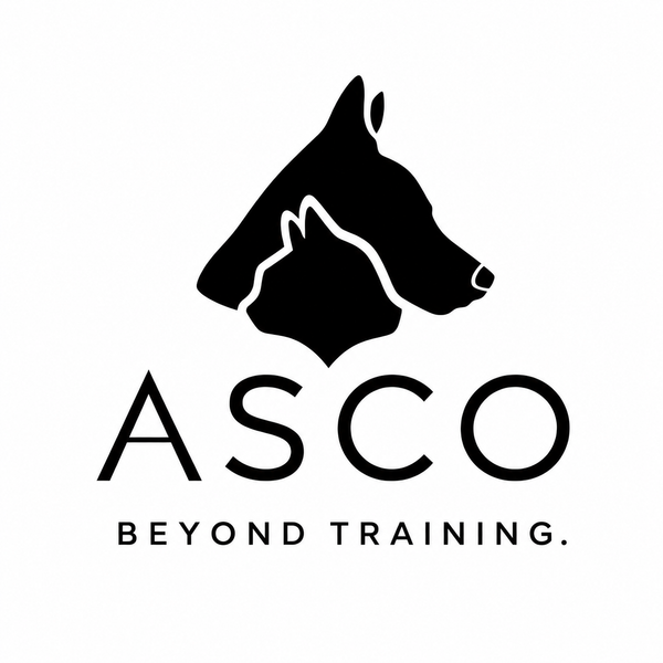 ASCO 