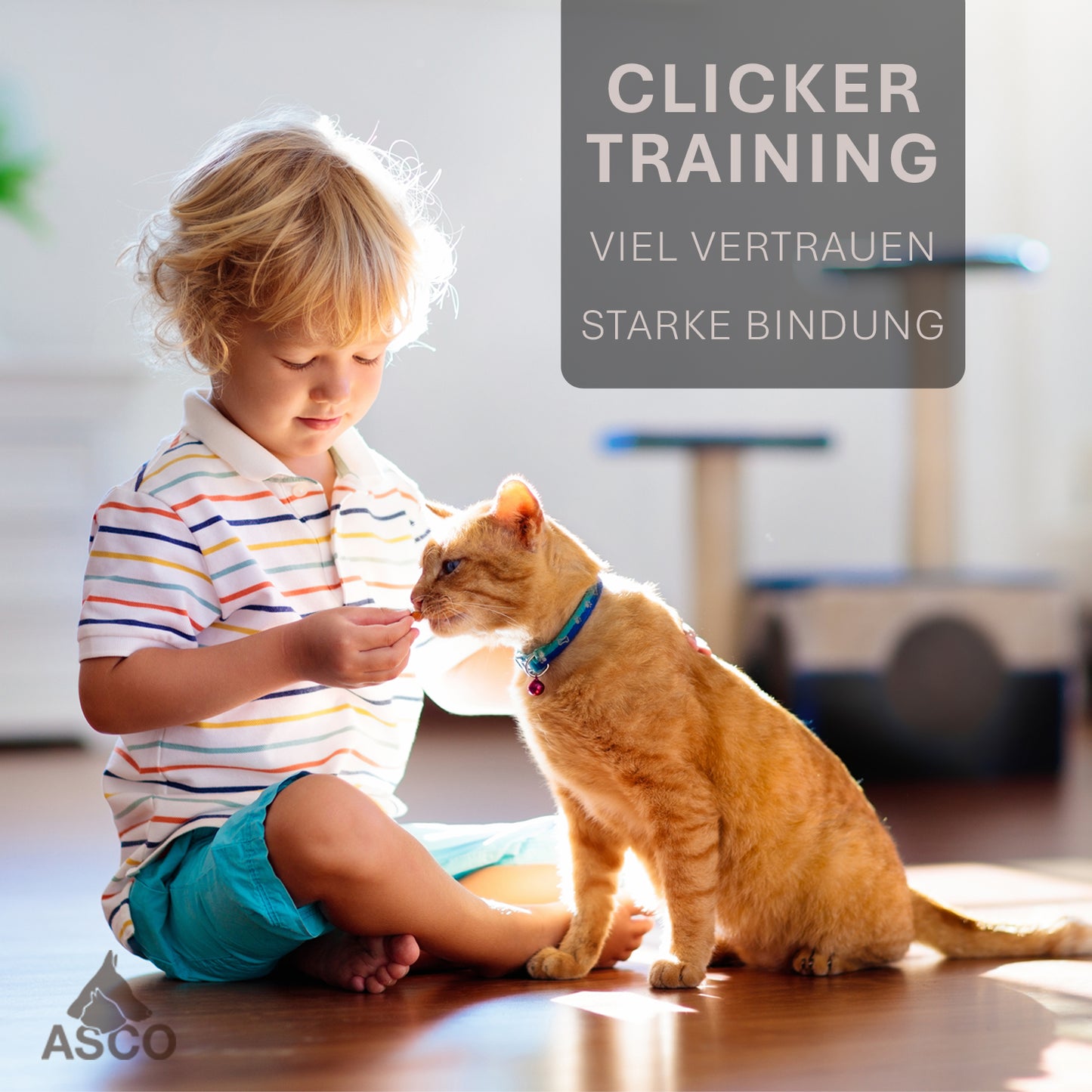 ASCO Premium Clicker, Finger Clicker für Clickertraining, Hunde Katzen Pferde Profi Clicker, Hundetraining Klicker